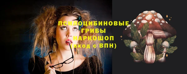 метадон Вяземский