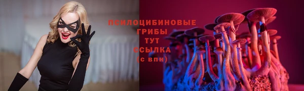 метадон Вяземский