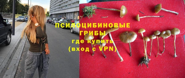 прущая мука Вязьма