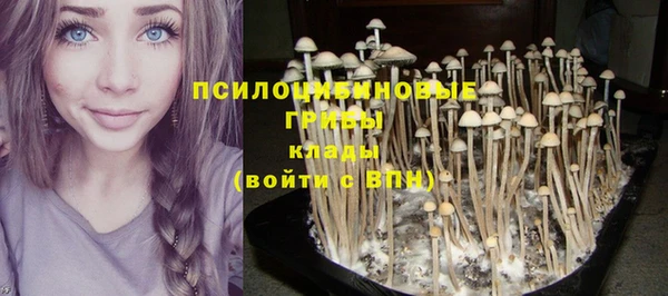 прущая мука Вязьма