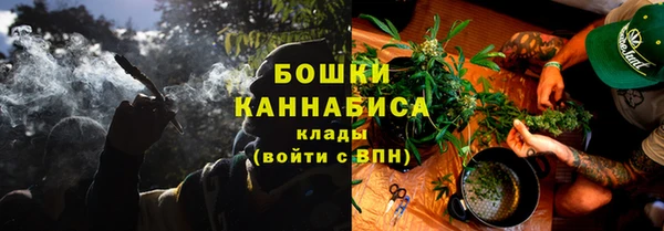 тгк Горно-Алтайск